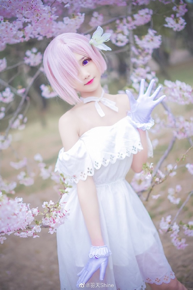 Fate/GrandOrder玛修·基列莱特cosplay(fgo玛修礼服cos CN羽天Shine)