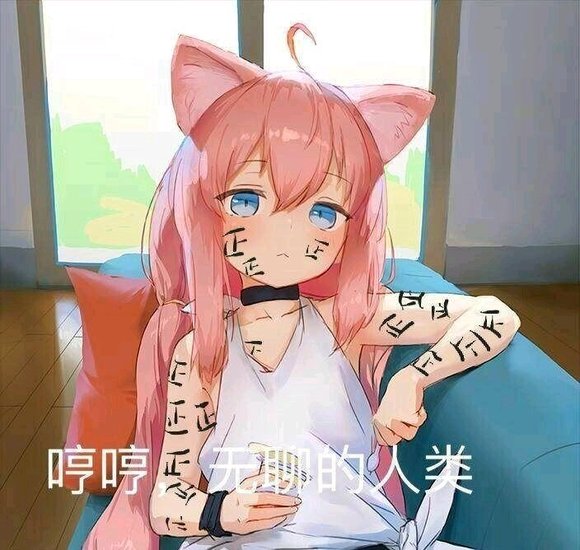 二次元一身正气什么梗 动漫角色身上的“正”是啥意思
