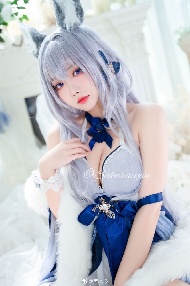 《碧蓝航线》信浓礼服胧月十夜cos|cn宮本桜