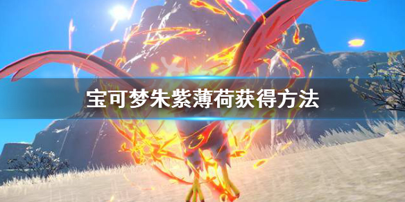 游戏《宝可梦朱紫》薄荷获得方法一览