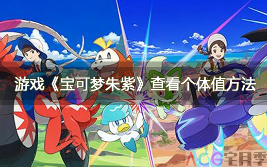 游戏《宝可梦朱紫》查看个体值方法一览