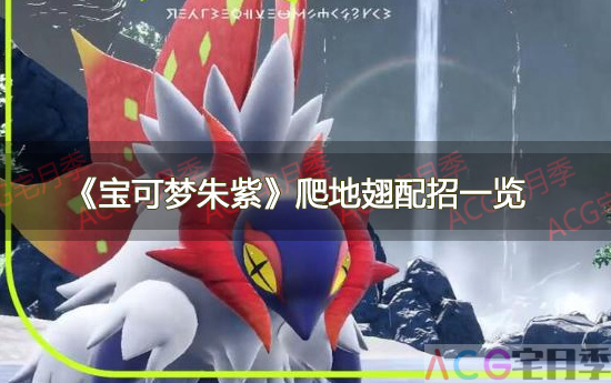 游戏《宝可梦朱紫》爬地翅配招一览