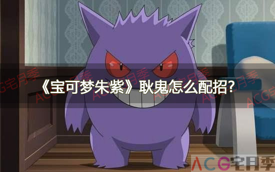 游戏《宝可梦朱紫》耿鬼怎么配招?
